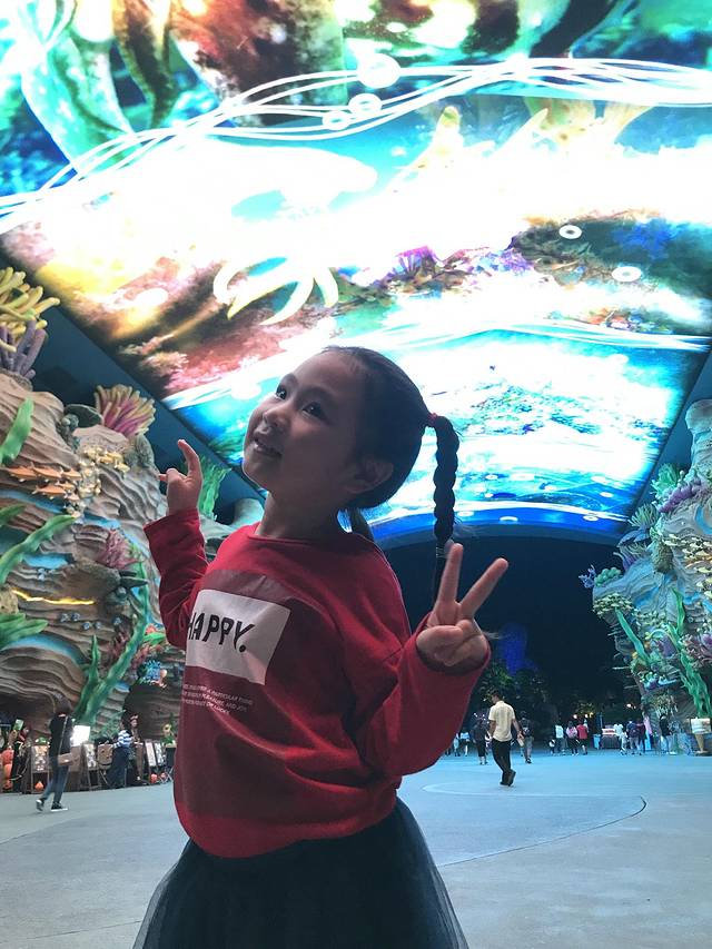 珠海长隆澳门2日游旅游团,澳门长隆住宿推荐