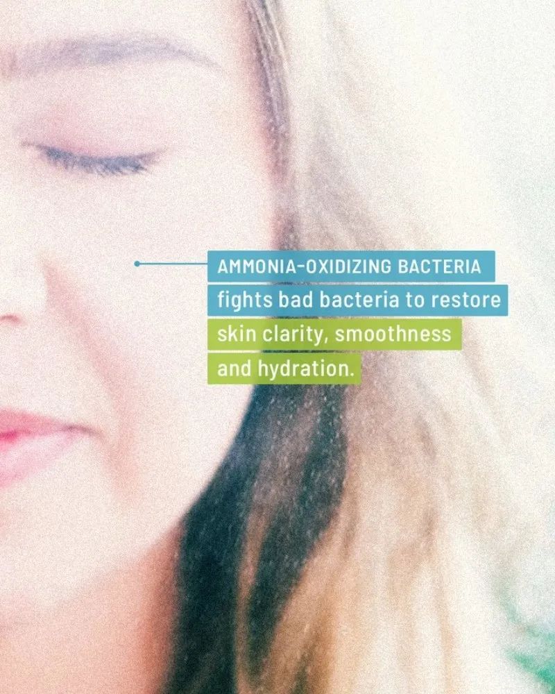 研发不得不关注的12大趋势？这里是最新全球原料展的结果