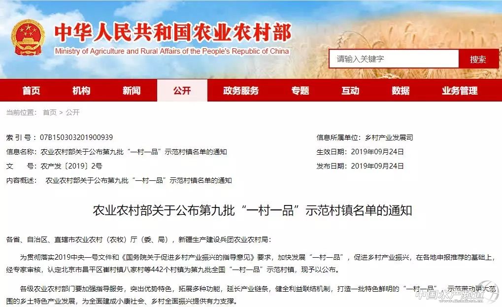 今天，我为甲鱼正名