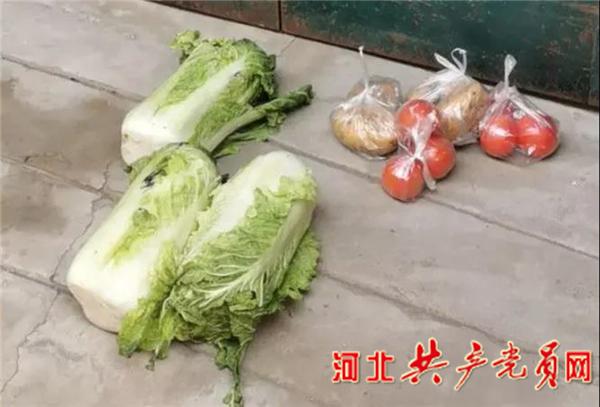 宁晋县教育局：身兼“七职”全力做好分包小区防疫工作