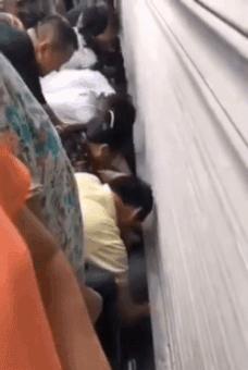 纽约costco厕纸,costco的厕纸