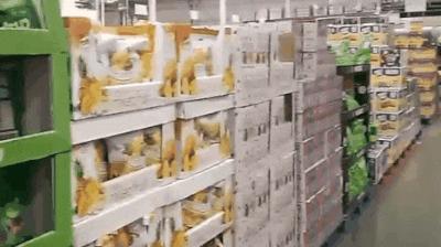 纽约costco厕纸,costco的厕纸