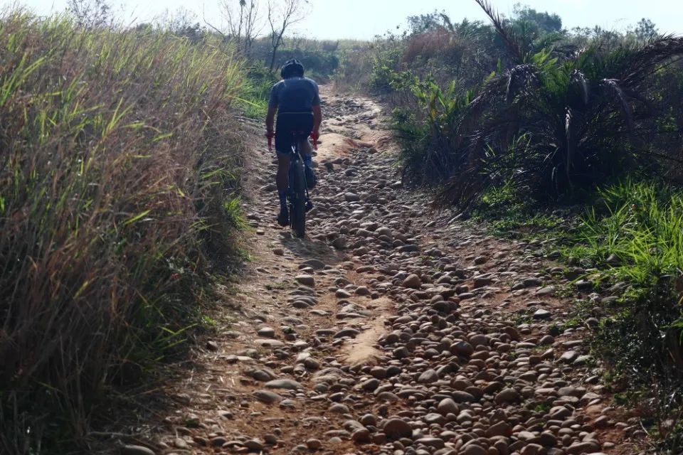 gravel公路车测评,适合180身高的gravel公路车