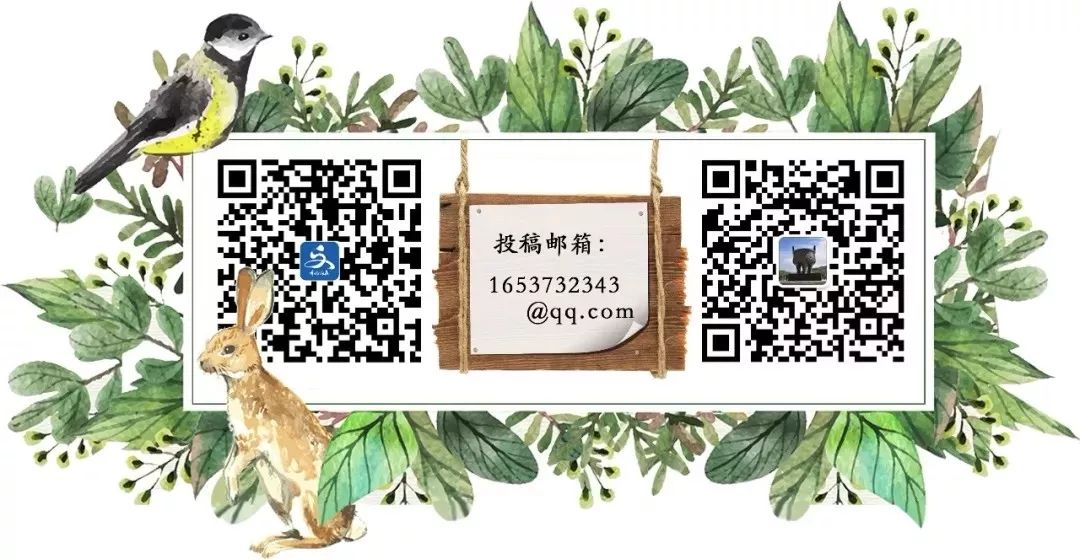 管阳镇挖出“土特产”，各个都是商机！