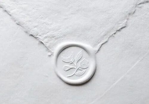 寻香|五彩斑斓的黑算什么，来见识一下五光十色的白