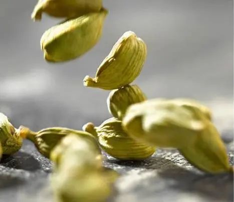 寻香|五彩斑斓的黑算什么，来见识一下五光十色的白