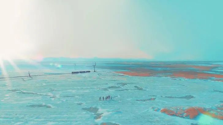 寻香|五彩斑斓的黑算什么，来见识一下五光十色的白