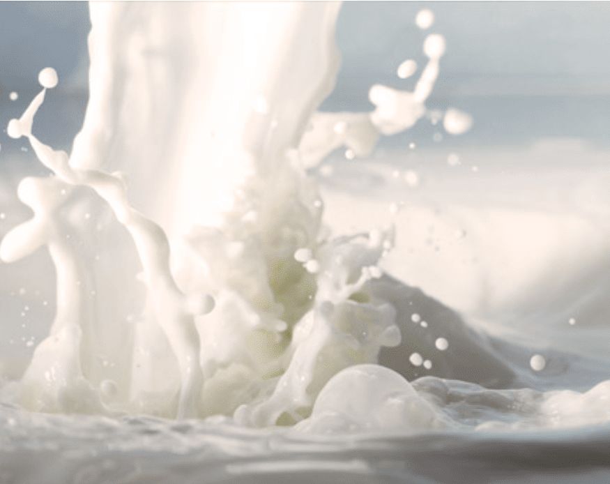 寻香|五彩斑斓的黑算什么，来见识一下五光十色的白