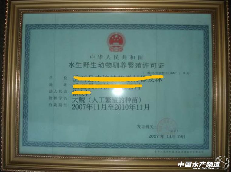 娃娃鱼是国家保护动物为啥还能吃,娃娃鱼濒临灭绝为什么还能吃