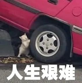 为了催生发液赶紧发货，我连续熬夜30天最后熬成了徐峥