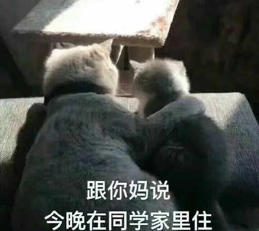 为了催生发液赶紧发货，我连续熬夜30天最后熬成了徐峥