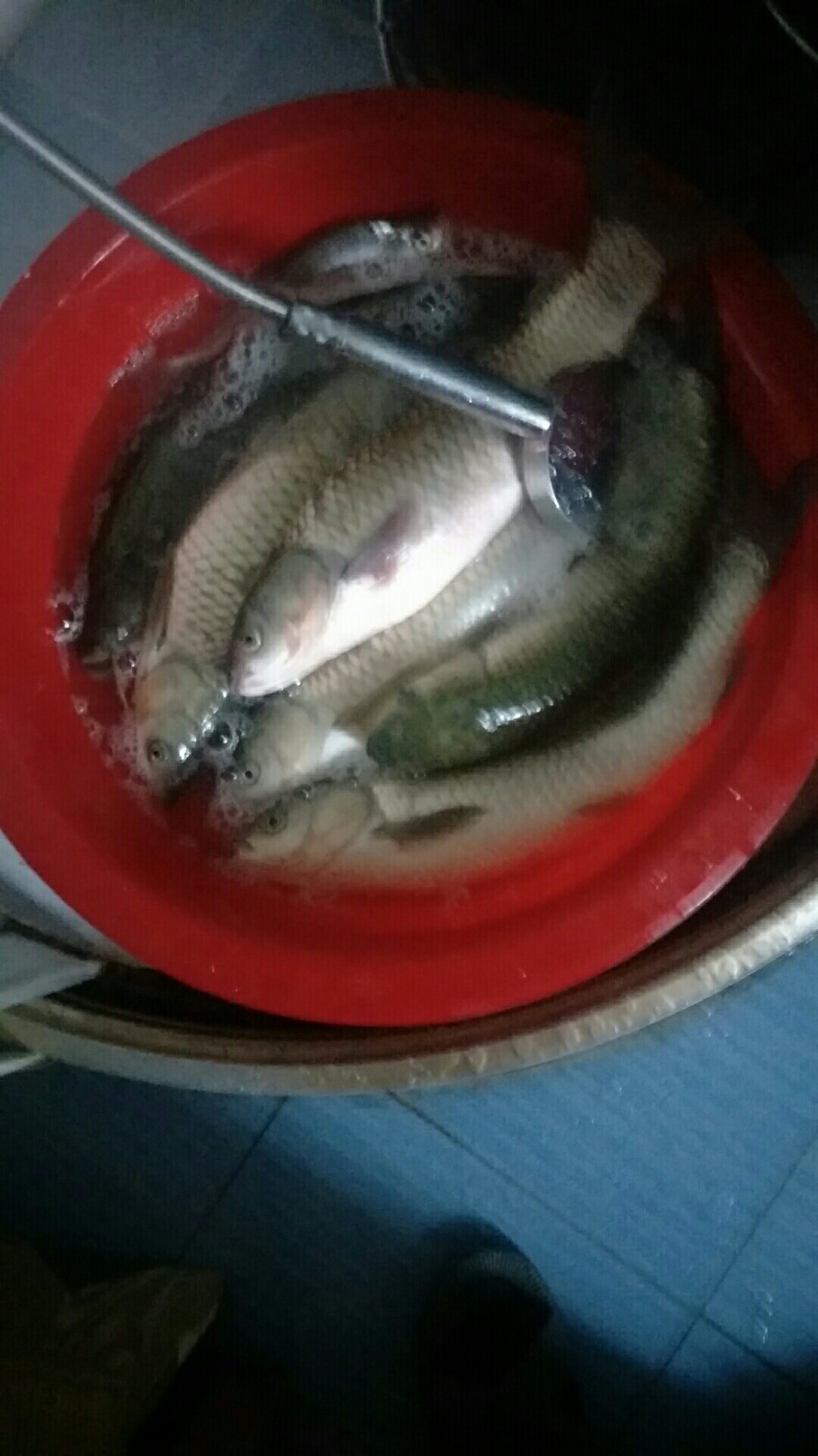 鲫鱼窝料最实用的一款,鲫鱼窝料自制配方全套卖