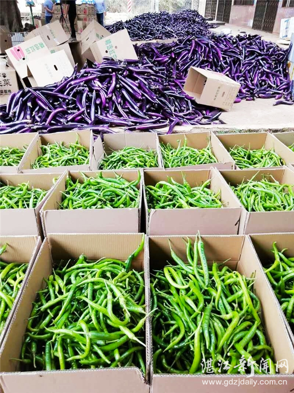 徐闻党建活动,徐闻党建招牌