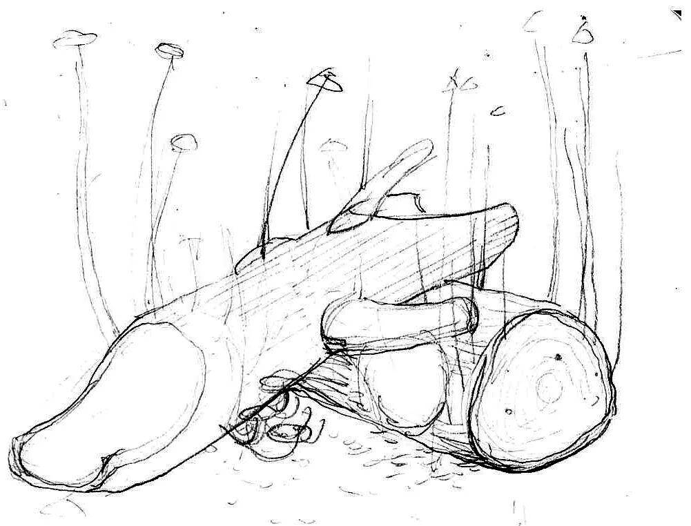 孩童的游乐场是我们回不去的童年,童年中的游乐园