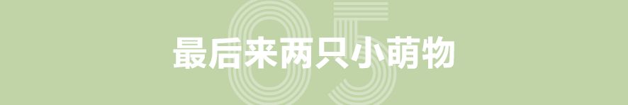 隐藏在手表里的一小点儿小知识点