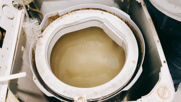 你不知道你家的洗衣机有多脏,你家的洗衣机有多脏你知道吗