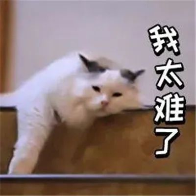 国内英语培训机构现状,知名英语培训机构被爆停业