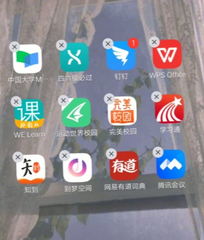 叫路边小狗名字,狗狗的名字取决于身边的人