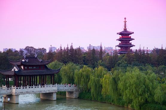 苏州文化国际旅行社有限公司公告,苏州文化国际旅游公司