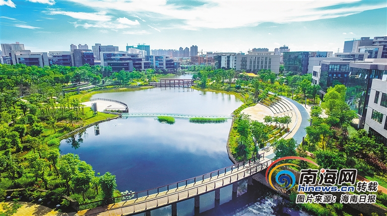 世界级自贸港建设,世界四大自贸港发展对比