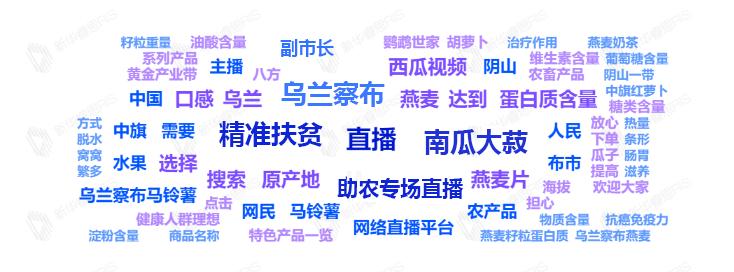 副市长变身“主播”代言土特产棒