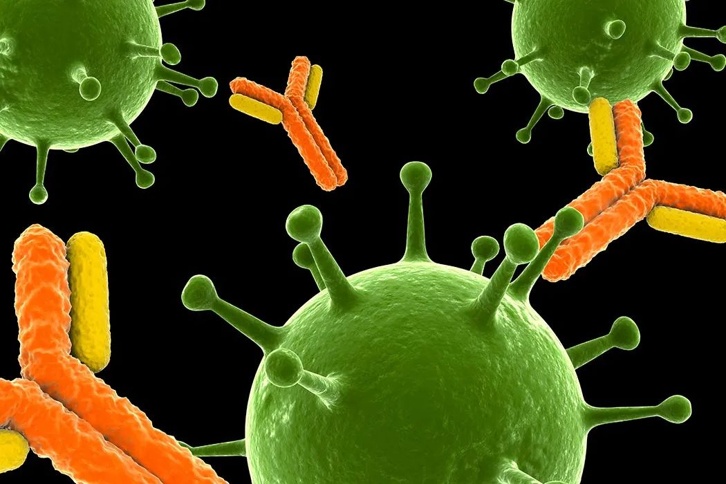 来，让我们认真地聊聊新冠疫苗