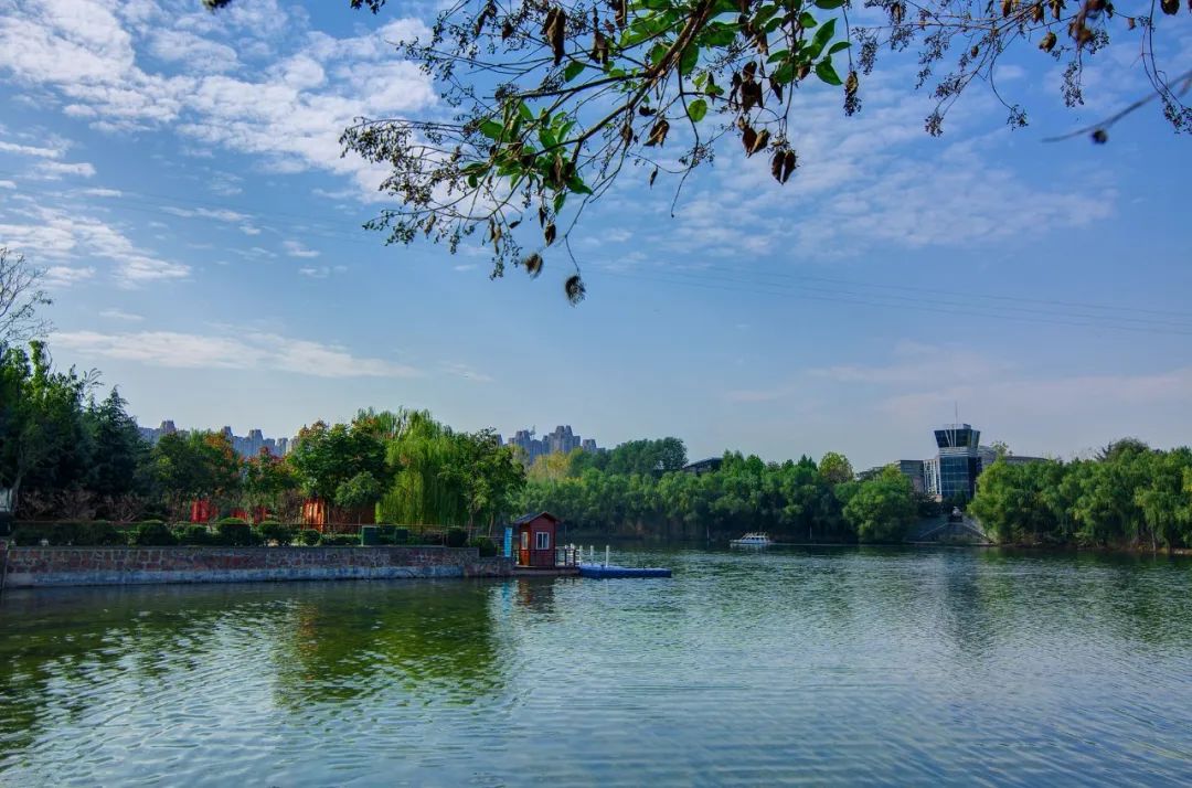 14年耕耘，9家房企驻扎，洞林湖迎来高光时刻