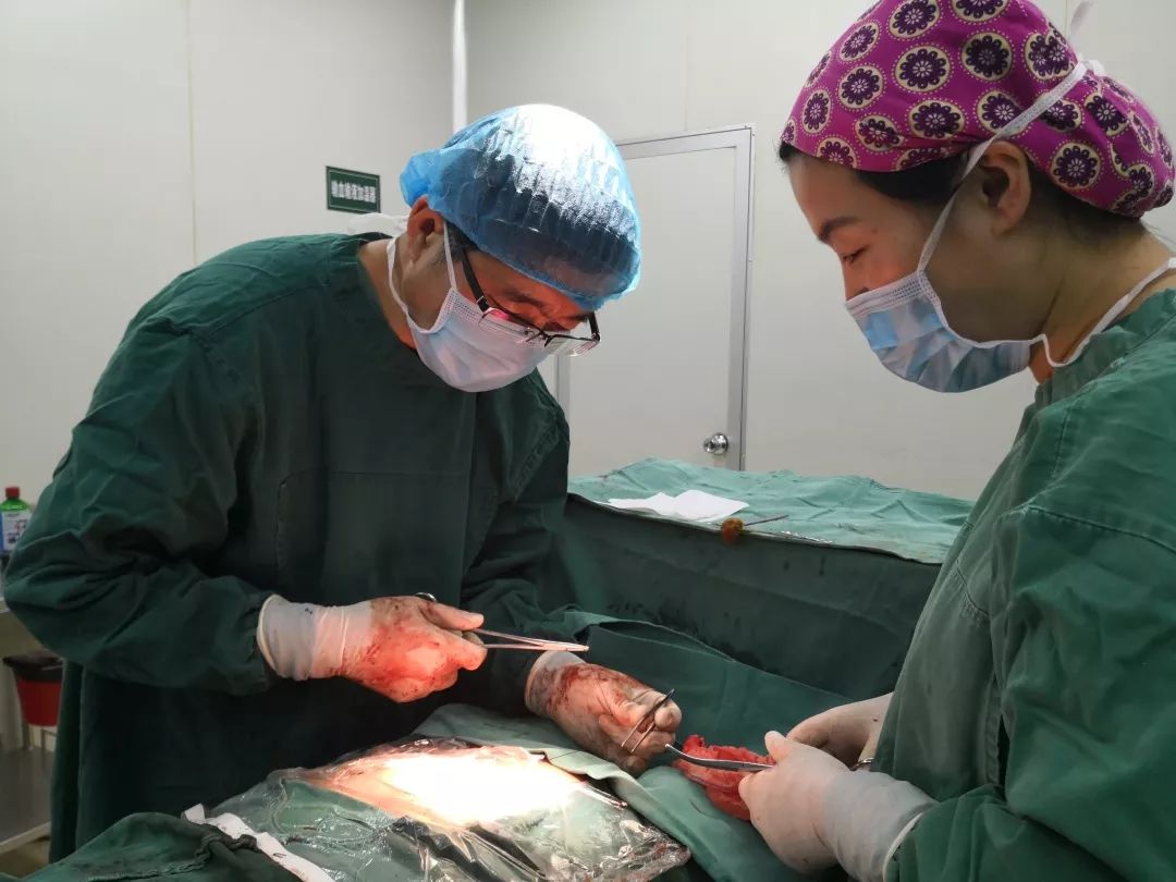 山东省立医院凶险性前置胎盘,济南凶险性前置胎盘手术