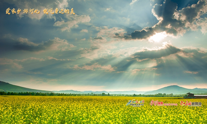 爱家乡河北,河北省著名旅游景点丰宁坝上草原