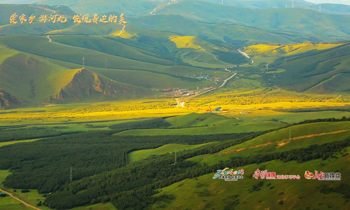 爱家乡河北,河北省著名旅游景点丰宁坝上草原
