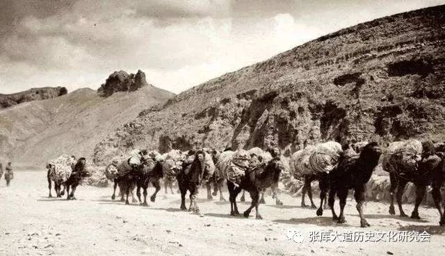 刘振瑛|张库大道系列讲座之十二：圐圙碎语