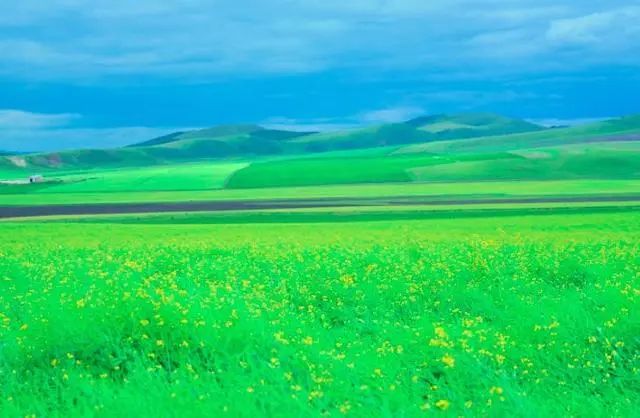 白居易10首经典诗草,白居易的诗草的典故