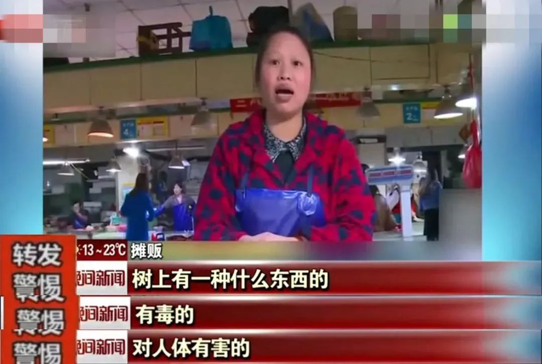 生吃香椿的危害到底有多大,吃香椿会不会有毒