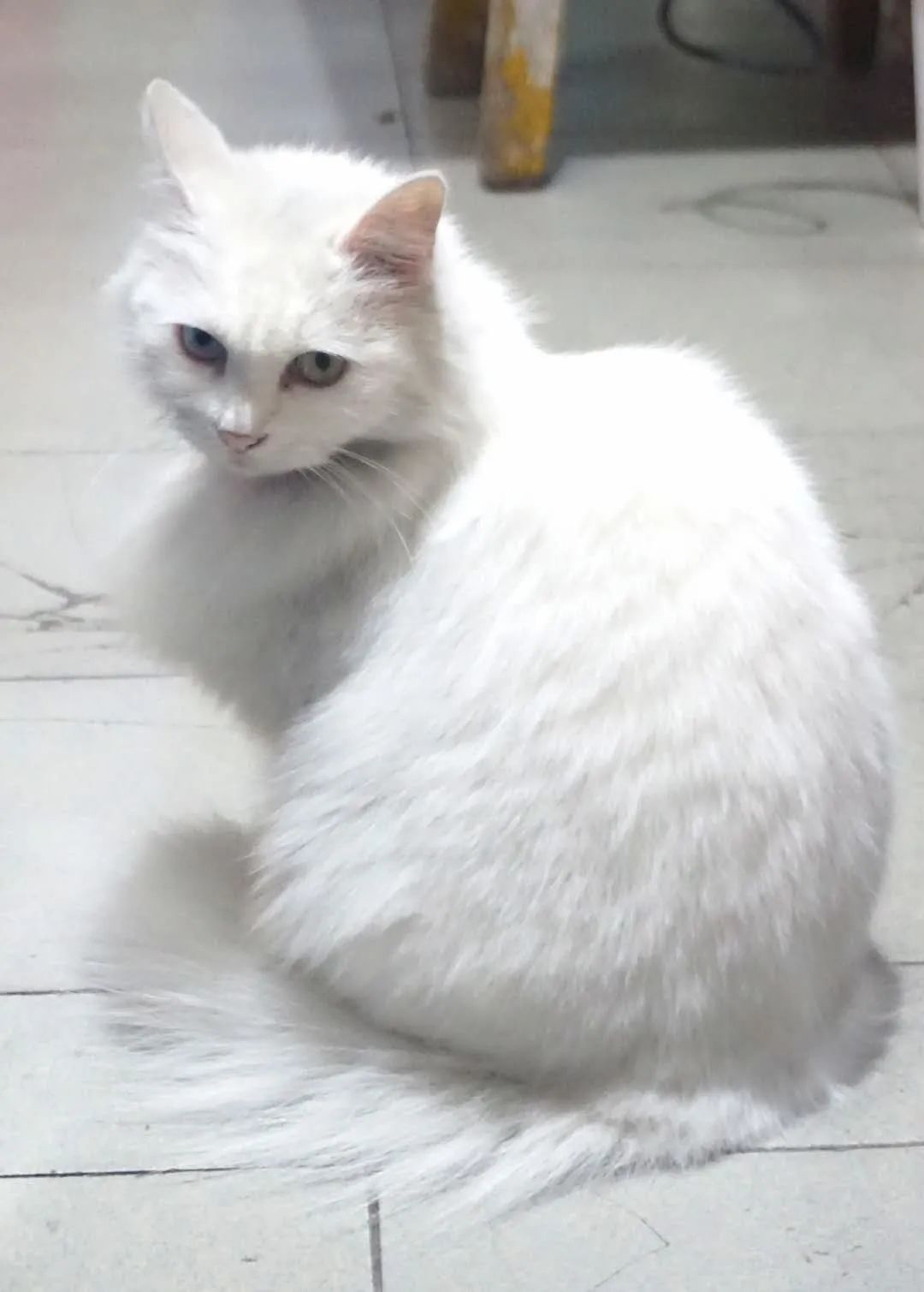 怀疑骨转移已经过了两年了都没事,疑似骨转移4年没变化