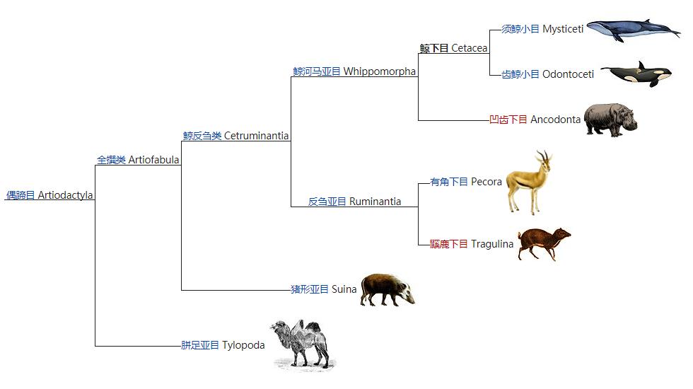 地球诞生以来最强的动物,地球诞生以来最大的动物