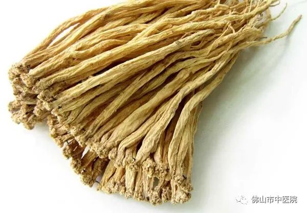 石斛天麻煲汤的做法大全,石斛灵芝汤的做法有什么功效