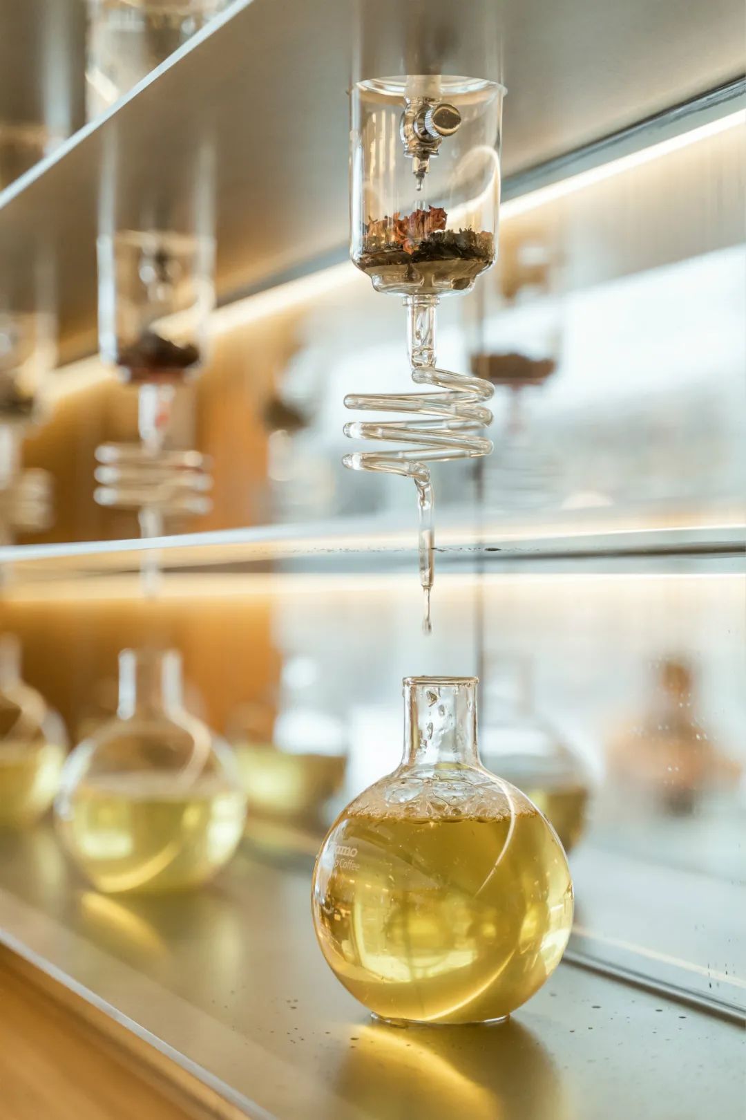 深圳奶茶多少钱一杯,深圳富豪茶餐厅