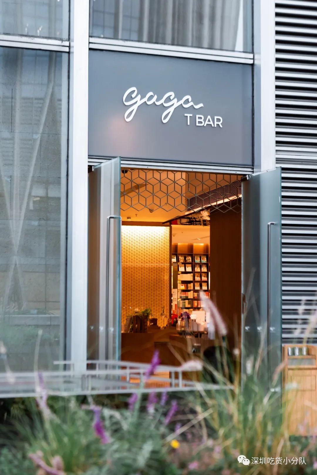 深圳奶茶多少钱一杯,深圳富豪茶餐厅