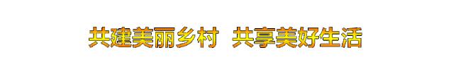 不脱贫不脱战袍的“高大姐”