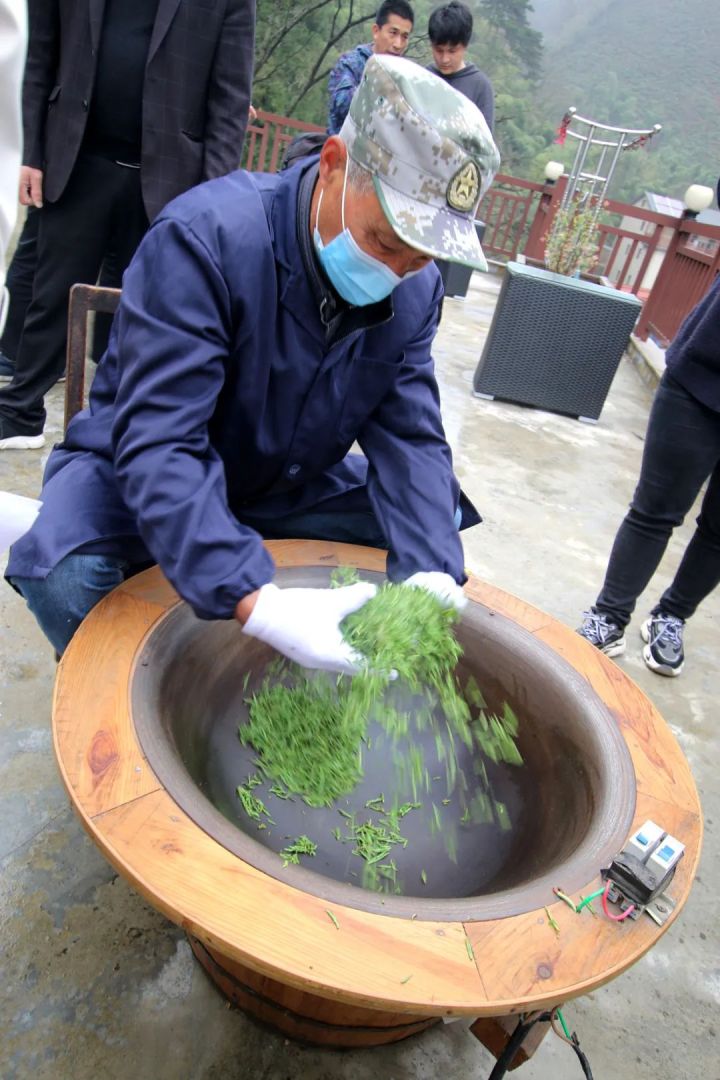 好茶不怕晚，好茶很好喝……今年不容易，好茶还不贵！“特惠版”东坑“雨前茶”今天上线