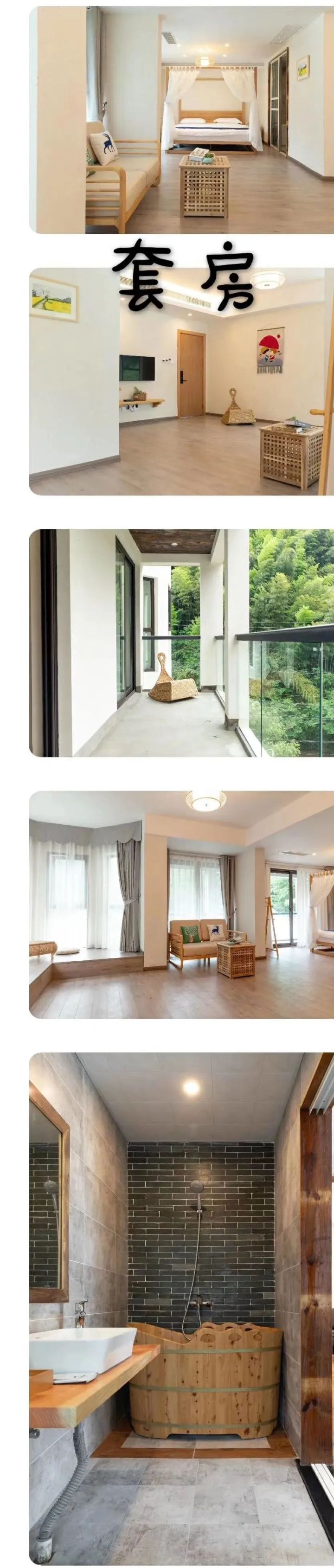 好茶不怕晚，好茶很好喝……今年不容易，好茶还不贵！“特惠版”东坑“雨前茶”今天上线