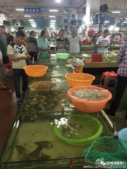 防城港休渔期海鲜贵吗,防城港休渔期时间表