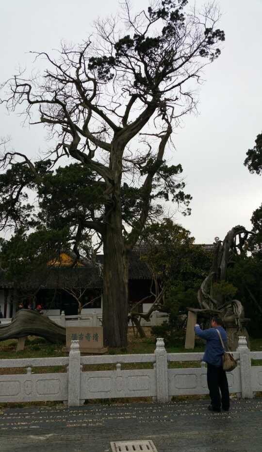 苏州名胜古庙,苏州三大古寺庙