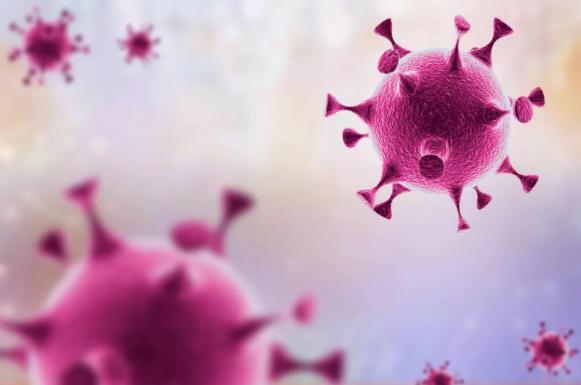 病毒溯源为何这么艰巨,病毒溯源有结果了吗