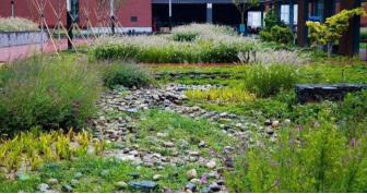 城市景观片区设计案例图,如何做出优秀的居住区景观设计