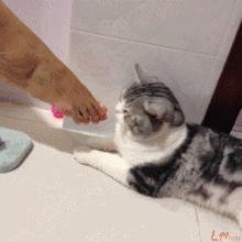 隐形船袜防滑防掉超浅口全棉,适合脚小穿的隐形船袜