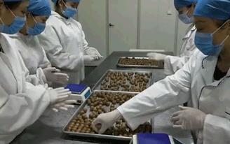 祛湿消肿红豆薏米丸,胡庆余堂薏米