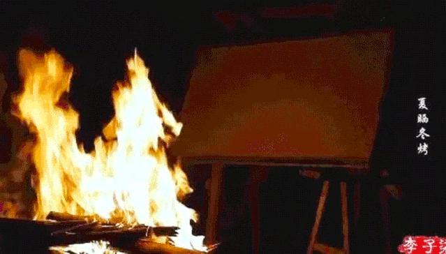 对于李子柒国外圈粉的看法,李子柒在微博火的原因是什么