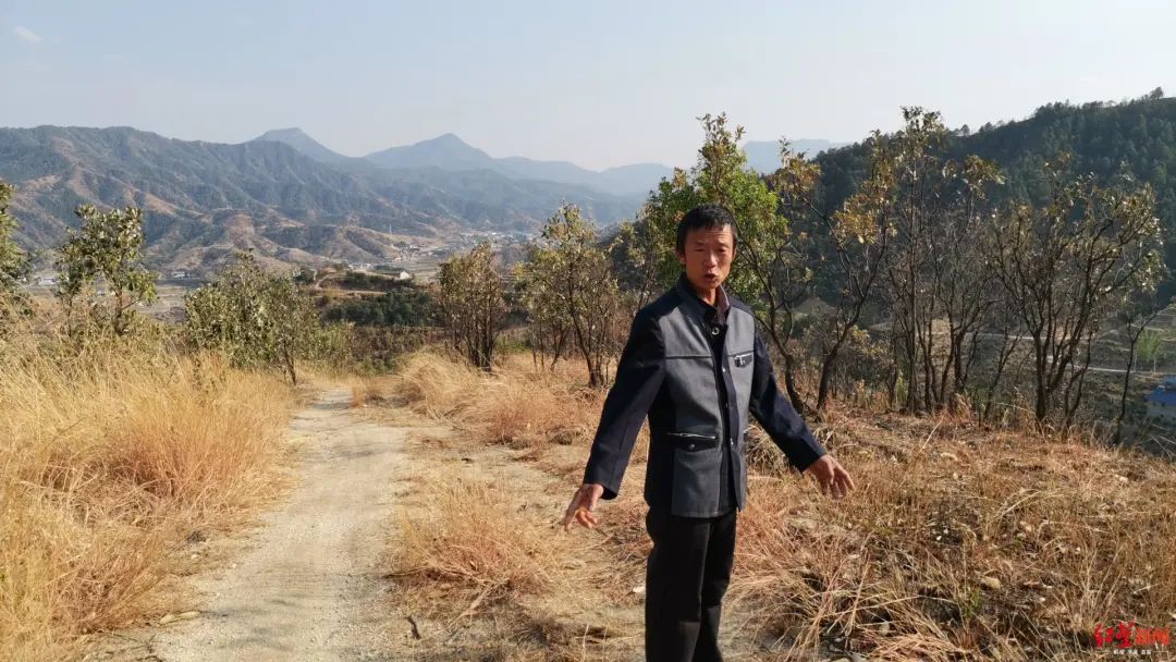 村民自费修山路被罚4万处理后续,村民自费修山路被罚4万处理