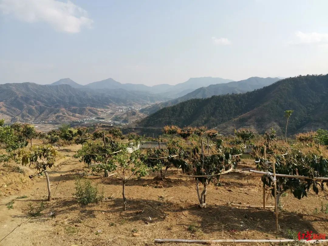 村民自费修山路被罚4万处理后续,村民自费修山路被罚4万处理